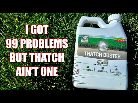 Thatch Buster | Turf Titan